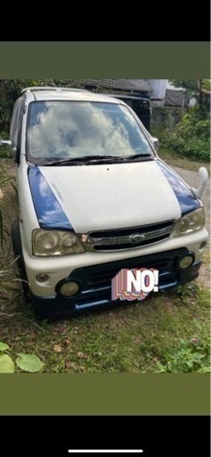 テリオスキッド