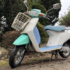 🛵HONDAパックス❗パステルカラー‼️町乗り通学通勤カスタムなど‼️の画像