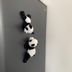 冷蔵庫マグネット　パンダ