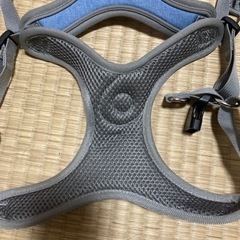 ハーネスの画像