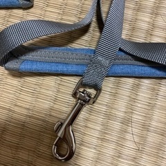 ハーネスの画像