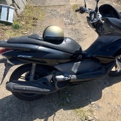 （
pcx 125ccの画像