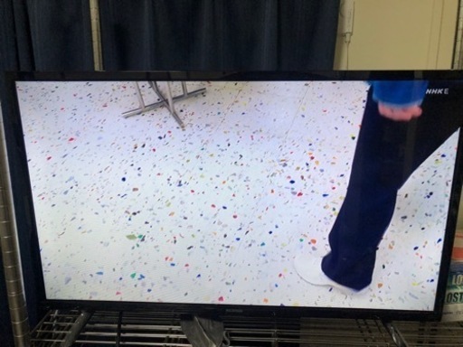 家電 テレビ 液晶テレビ