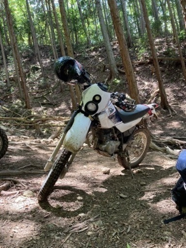 SEROW225WE 実動　山仕様