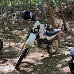 SEROW225WE 実動　山仕様