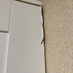 衣服棚差し上げますの画像