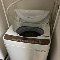 家電 生活家電 洗濯機