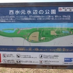ソフトボールメンバー緊急募集❗体験会開催します − 東京都