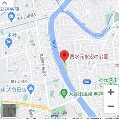 ソフトボールメンバー緊急募集❗体験会開催します - 葛飾区