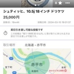 シュヒティッヒ 10.5J 18インチ ドリケツ