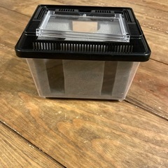 中古】鳴く虫の飼い方 :スズムシ，マツムシ，カンタン