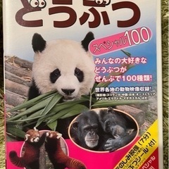 動物大好きDVD