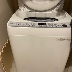 家電 生活家電 洗濯機の画像