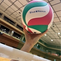 【メン募】6人制バレーボールチーム 一宮市