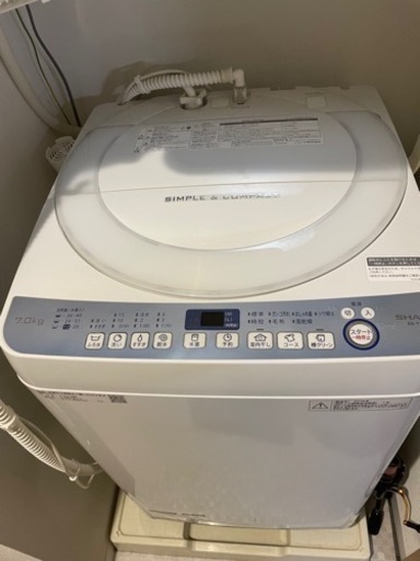 家電 生活家電 洗濯機