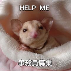 【日払】事務系のスポットアルバイト募集（スキマ時間にチョコっと勤務）の画像