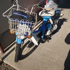 パルフレイ