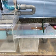 【70%off&配達無料！】超格安　水槽セット　おまけ多数の画像