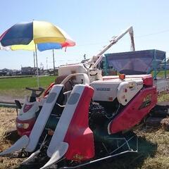 ☆美味しい農家のお米(平成5年度兵庫県産きぬむすめ) 