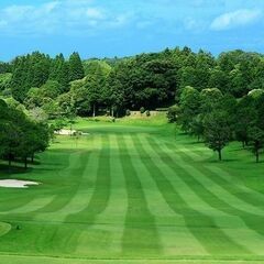 ❇️👑独身限定👑❇️〓ゴルフやろうぜ！『WaiWai』〓🏌️東京...