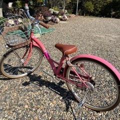 茨城県の子供用自転車 22インチ 自転車の中古が安い！激安で譲ります・無料であげます｜ジモティー