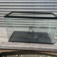 60センチ水槽、トロ舟、プラ容器3点セットの画像