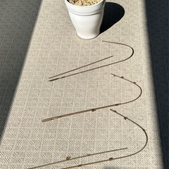 胡蝶蘭の植木鉢と支柱