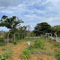 ハウス骨組み