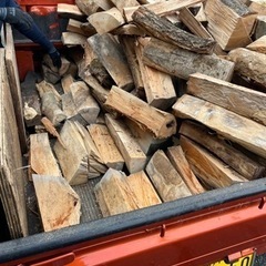 広葉樹未乾燥薪 500kg 軽トラの画像