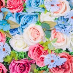 🌼夢シェア会🌼
