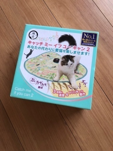 キャッチミーイフユーキャン