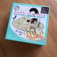 キャッチミーイフユーキャン