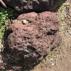 庭石の画像