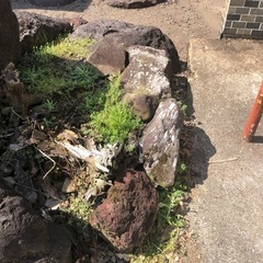 庭石の画像