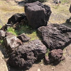 庭石の画像