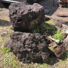 庭石の画像