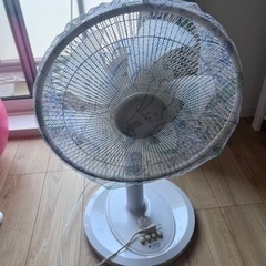 家電 季節、空調家電 扇風機