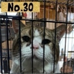 ダントツ甘えん坊の あおい君