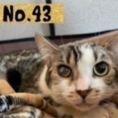 実は甘えん坊 おめめちゃん