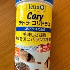 テトラ　コリドラスの餌