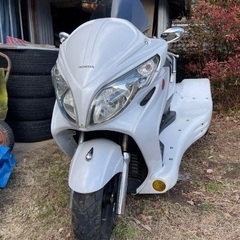 海外製スカブトライク