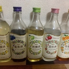 杏露酒等　果実酒5本