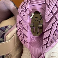 瞬足レモンパイ 23.5cm！の画像