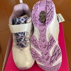 瞬足レモンパイ 23.5cm！の画像
