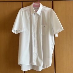 【決まりました】［大社高校］ 半袖長袖ｶｯﾀｰｼｬﾂ L 半袖未使用&長袖ｸﾘｰﾆﾝｸﾞ済の画像
