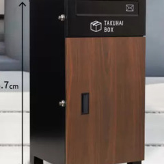 【未使用品・外箱開封済み・中身確認済み】パイクスピーク ポスト一...