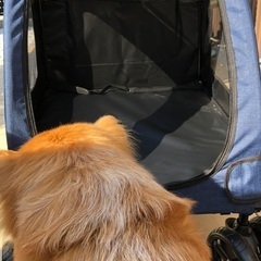 【お引渡先が決まりました】大型犬用ペットカートの画像