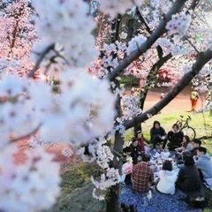 【現在40名】４月６日(日) 14時スタート！代々木公園🌸お花見...