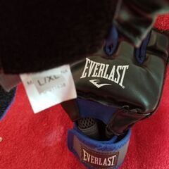 Everlast 　エバーラスト　格闘技グローブ　表記サイズL～XLの画像