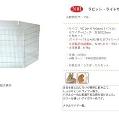 ラビット　ライトサークル